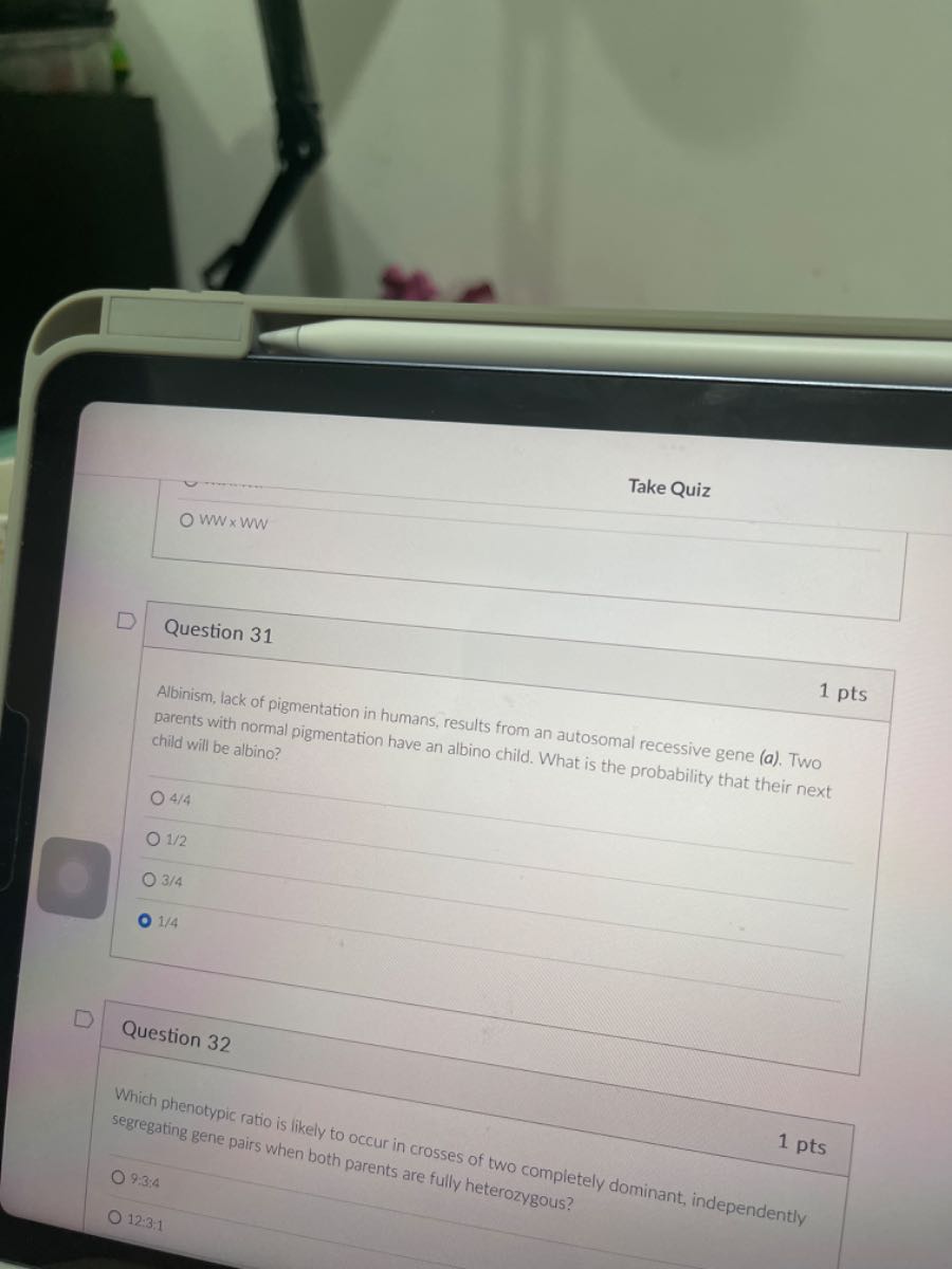 Take Quiz W W × W W Question 31 1 pts Albinism, lack of pigmentation in ...