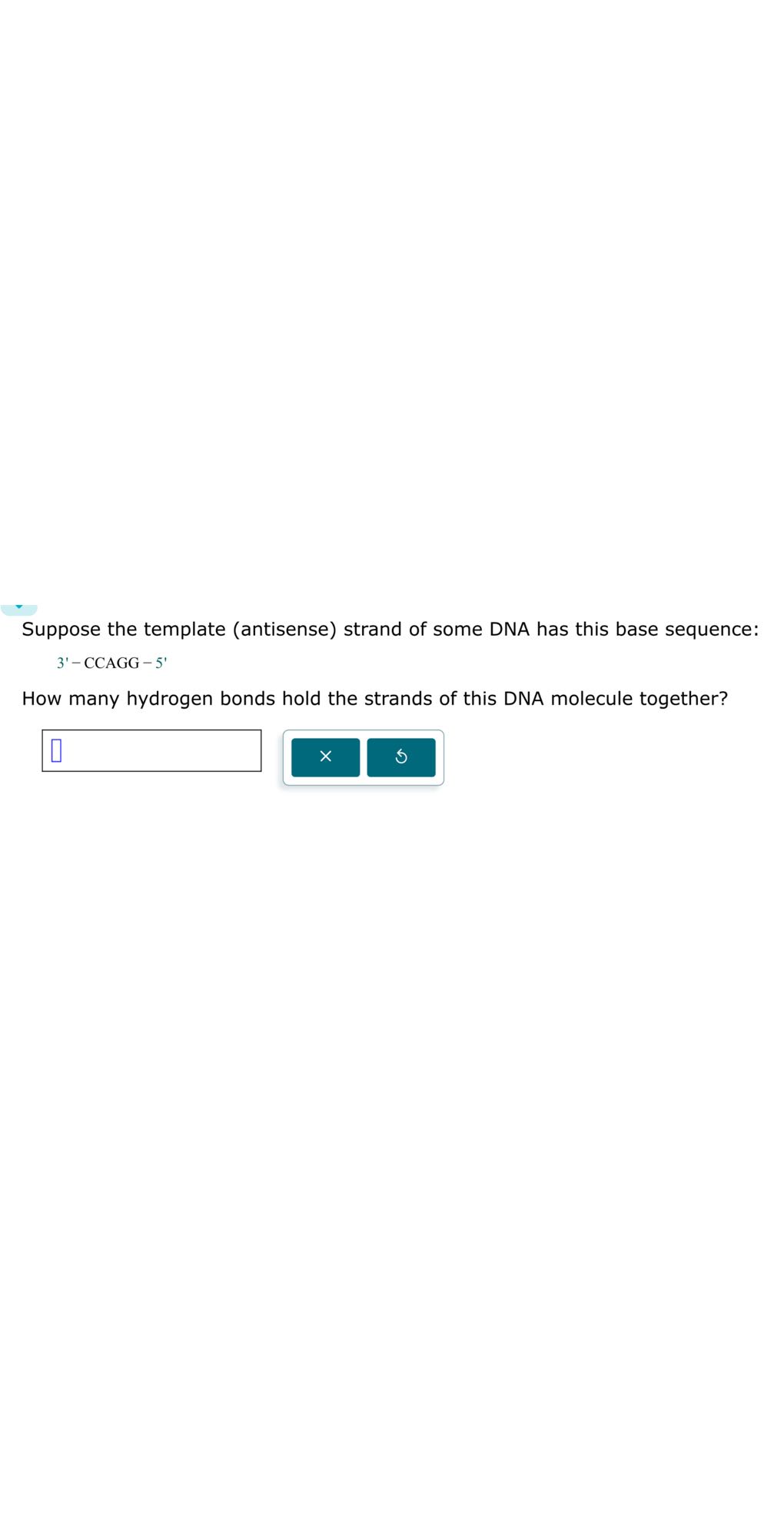 Suppose the template (antisense) strand of some DNA has this base
