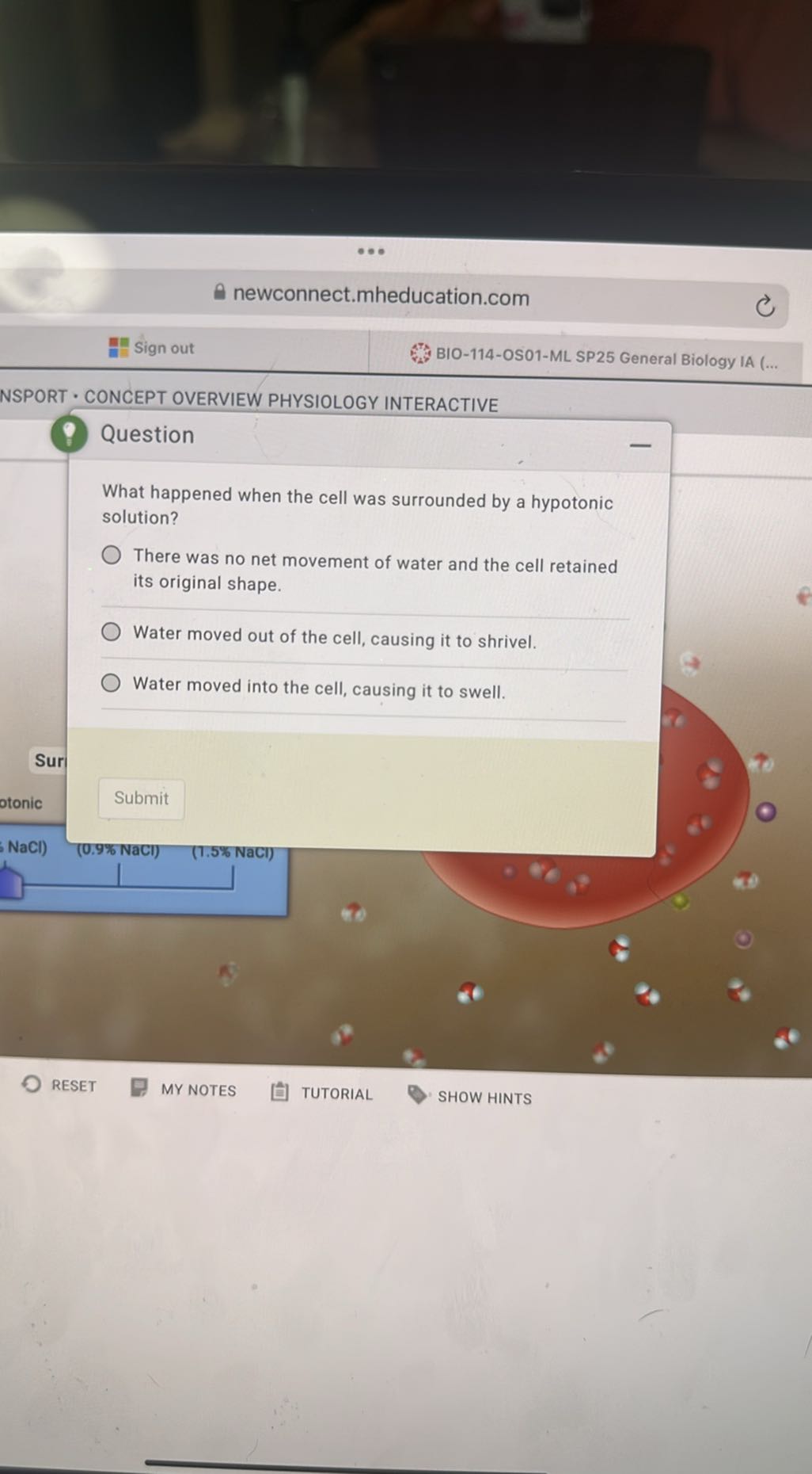 newconnect.mheducation.com
Sign out
BIO-114-OS01-ML SP25 General Biology IA (...
NSPORT • CONCEPT OVERVIEW PHYSIOLOGY INTERACTIVE

Question

What happened when the cell was surrounded by a hypotonic solution?
There was no net movement of water and the cell retained its original shape.
Water moved out of the cell, causing it to shrivel.
Water moved into the cell, causing it to swell.
otonic
Submit
NaCl)
(0.9% NaCl)
(1.5% NaCl)
RESET
MY NOTES
TUTORIAL
SHOW HINTS