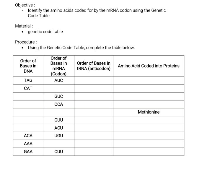 Mrna Base Code Objective : - Identify the amino acids coded for by the mRNA codon ...