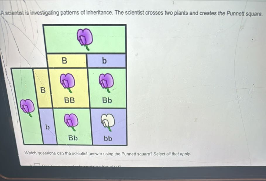 [GET ANSWER] A scientist is investigating patterns of inheritance. The ...
