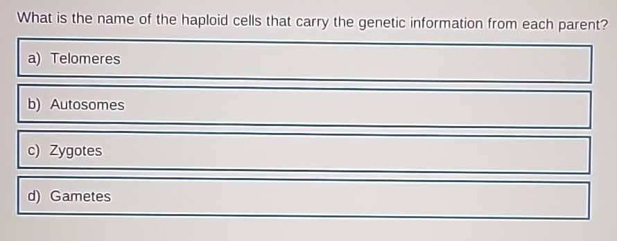 What is the name of the haploid cells that carry the genetic information from each parent?
a) Telomeres
b) Autosomes
c) Zygotes
d) Gametes