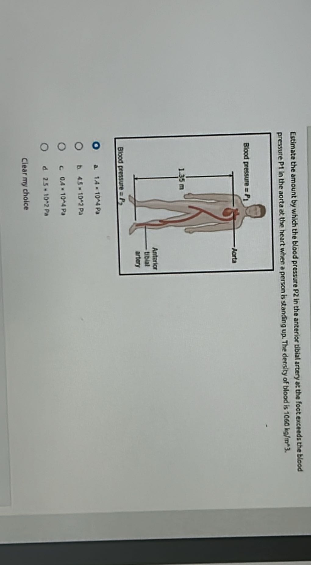 Estimate the amount by which the blood pressure P2 in the anterior tibial artery at the foot exceeds the blood pressure P1 in the aorta at the heart when a person is standing up. The density of blood is 1060  kg / m^∧ 3.
a. 1,4 × 10^∧ 4  Pa
b. 4.5 × 10^∧ 2  Pa
C. 0.4 × 10^04   P a
d 2.5=10^2 2  Pa

Clear my choice