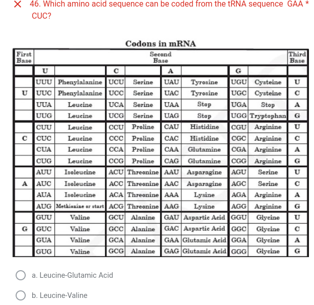 Cgc Codon 46. Which amino acid sequence can be coded from the tRNA sequence GAA ...