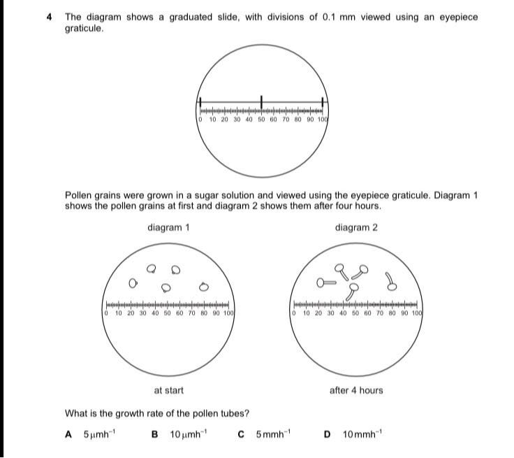 Graticule Slide 4 The diagram shows a graduated slide, with divisions of 0.1 mm viewed ...