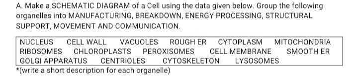 A. Make a SCHEMATIC DIAGRAM of a Cell using the data given below. Group ...