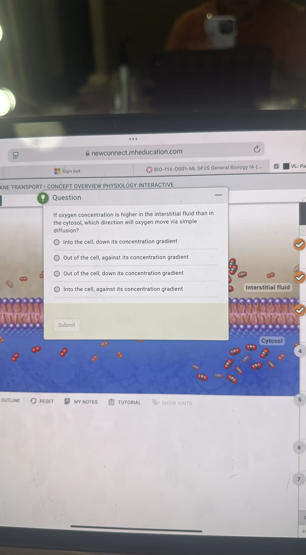 newconnect.mheducation.com
Sign out
BIO-114-OS01-ML SP25 General Biology IA (...
VL: Pa
ANE TRANSPORT • CONCEPT OVERVIEW PHYSIOLOGY INTERACTIVE

Question
If oxygen concentration is higher in the interstitial fluid than in the cytosol, which direction will oxygen move via simple diffusion?
Into the cell, down its concentration gradient
Out of the cell, against its concentration gradient
Out of the cell, down its concentration gradient
Into the cell, against its concentration gradient
Interstitial fluid
Submit
OUTLINE
RESET
MY NOTES
TUTORIAL
SHOW HINTS
5
6
7