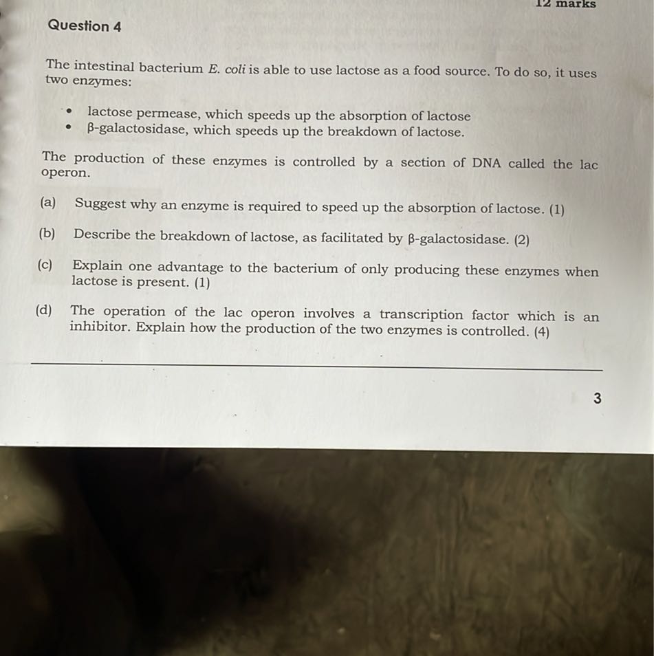 Question 4 The intestinal bacterium E. coli is able to use lactose as a ...