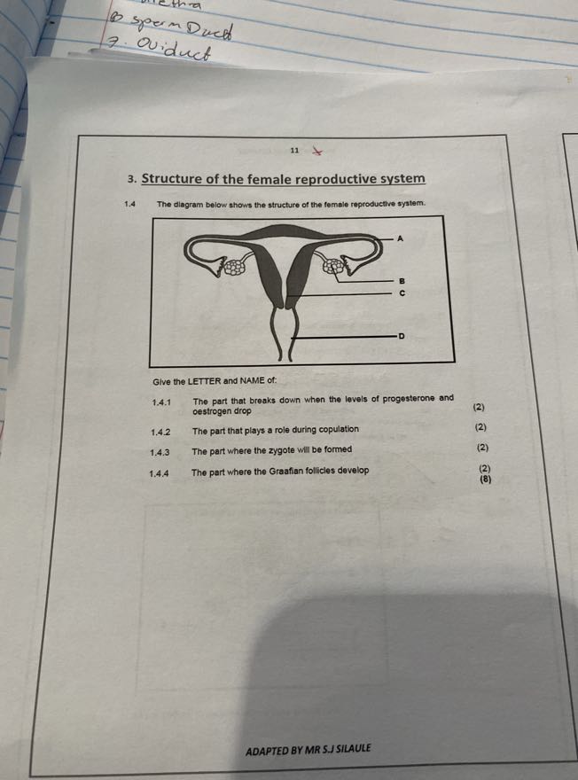 11 3. Structure of the female reproductive system 1.4 The diagram below ...