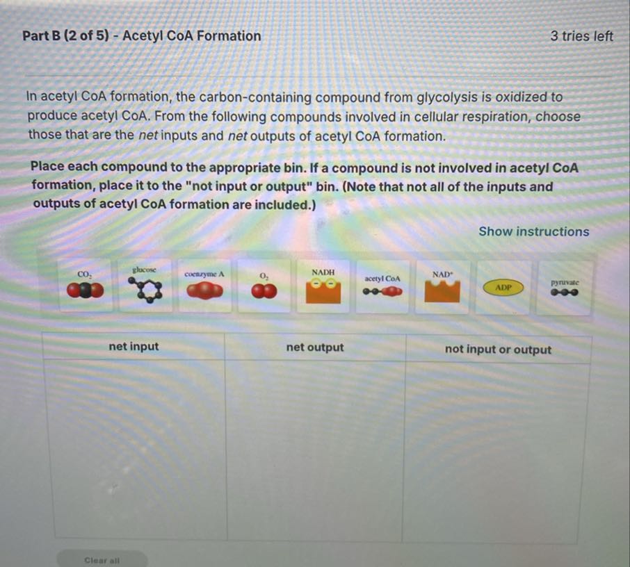Part B (2 of 5) - Acetyl CoA Formation 3 tries left In...