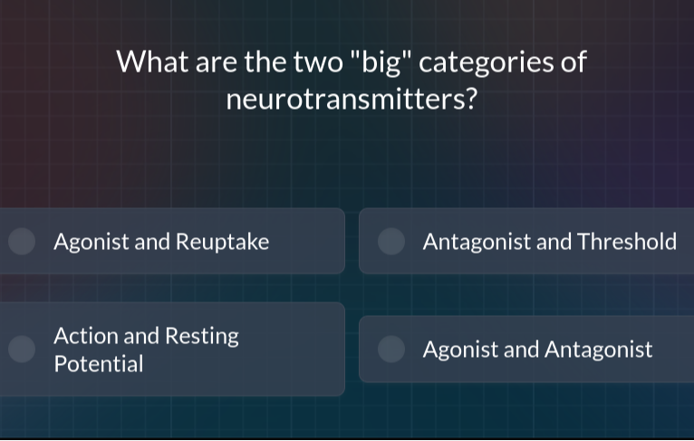 What are the two 