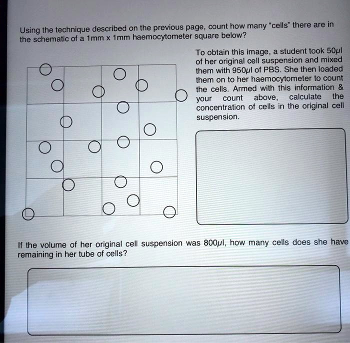 solved-count-how-many-cells-there-are-in-using-the-technique