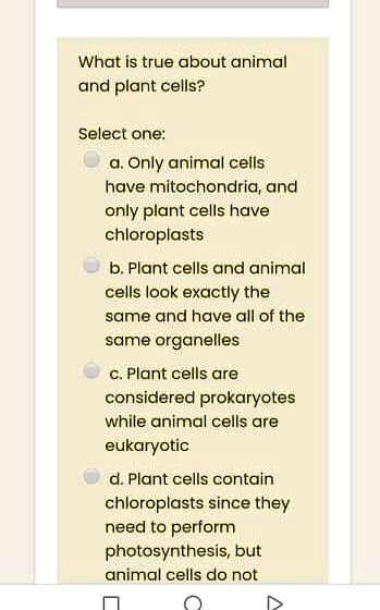 SOLVED: What is true about animal and plant cells? Select one: Only animal  cells have mitochondria; and only plant cells have chloroplasts b. Plant  cells and animal cells look exactly the same