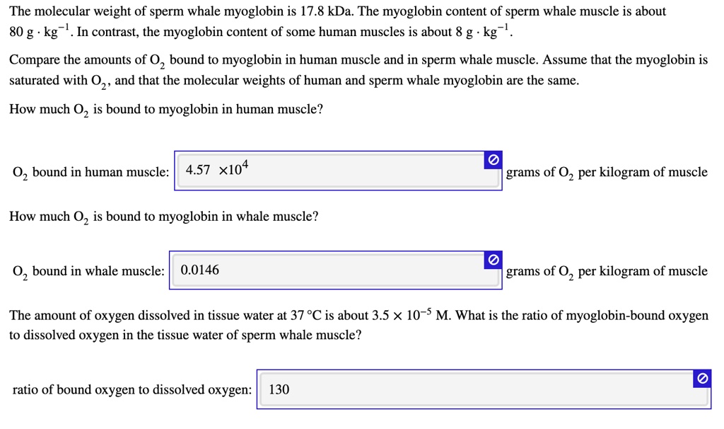 The molecular weight of sperm whale myoglobin is 17.8 kDa. The myoglobin content of sperm whale muscle is about 80 g · kg?¹. In contrast, the myoglobin content of some human muscles is about 8 g · kg?¹.
Compare the amounts of O? bound to myoglobin in human muscle and in sperm whale muscle. Assume that the myoglobin is saturated with O?, and that the molecular weights of human and sperm whale myoglobin are the same.
How much O? is bound to myoglobin in human muscle?
O? bound in human muscle: 4.57 × 10? grams of O? per kilogram of muscle
How much O? is bound to myoglobin in whale muscle?
O? bound in whale muscle: 0.0146 grams of O? per kilogram of muscle
The amount of oxygen dissolved in tissue water at 37 °C is about 3.5 × 10?? M. What is the ratio of myoglobin-bound oxygen to dissolved oxygen in the tissue water of sperm whale muscle?
ratio of bound oxygen to dissolved oxygen: 130