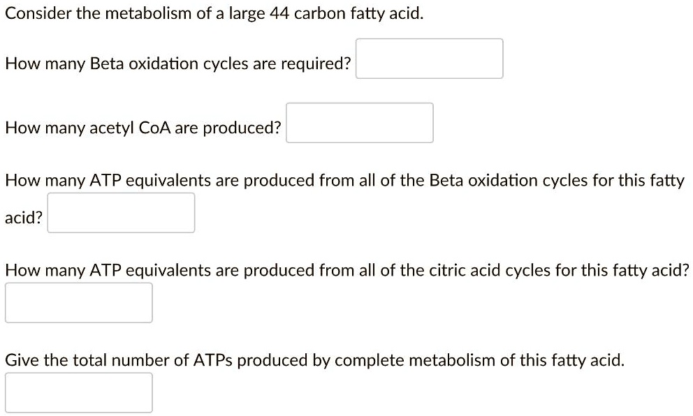 SOLVED Consider the metabolism of a large 44 carbon fatty acid. How