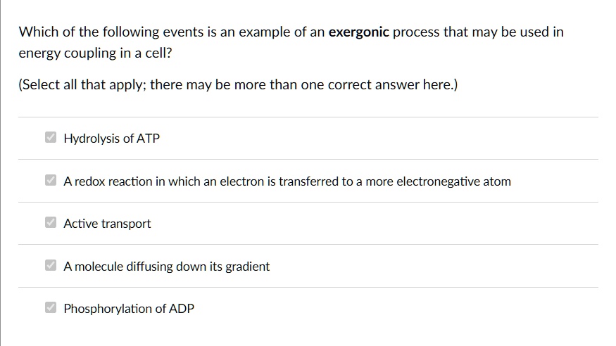 Which of the following events is an example of an exergonic process that may be used in energy coupling in a cell?
(Select all that apply; there may be more than one correct answer here.)
Hydrolysis of ATP
A redox reaction in which an electron is transferred to a more electronegative atom
Active transport
A molecule diffusing down its gradient
Phosphorylation of ADP