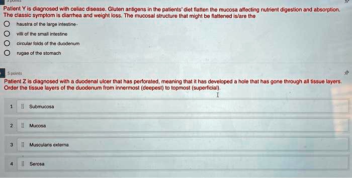 Patient Y is diagnosed with celiac disease. Gluten antigens in the patients' diet flatten the mucosa affecting nutrient digestion and absorption. The classic symptom is diarrhea and weight loss. The mucosal structure that might be flattened is/are the
haustra of the large intestine-
villi of the small intestine
circular folds of the duodenum
rugae of the stomach
Patient Z is diagnosed with a duodenal ulcer that has perforated, meaning that it has developed a hole that has gone through all tissue layers. Order the tissue layers of the duodenum from innermost (deepest) to topmost (superficial).
1 Submucosa
2 Mucosa
3 Muscularis externa
4 Serosa