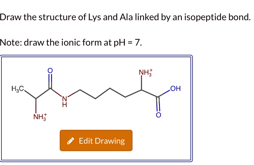 Draw the structure of Lys and Ala linked by an isopeptide bond. Note ...