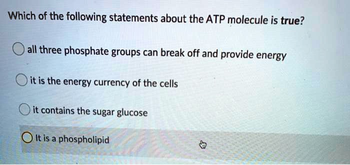 Which of the following statements about the ATP molecule is true?
all three phosphate groups can break off and provide energy
it is the energy currency of the cells
it contains the sugar glucose
It is a phospholipid