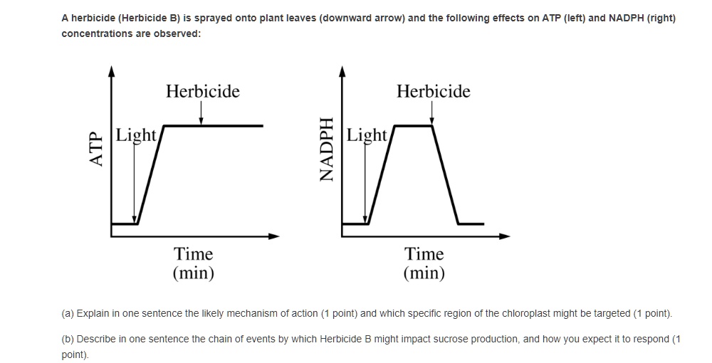 SOLVED A herbicide (Herbicide B) is sprayed onto plant leaves