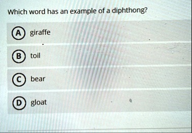 which word has an example of a diphthong a giraffe b toil c bear d gloat 74167