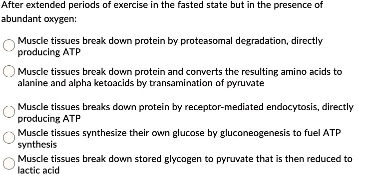 After extended periods of exercise in the fasted state but in the presence of abundant oxygen:

Muscle tissues break down protein by proteasomal degradation, directly producing ATP

Muscle tissues break down protein and converts the resulting amino acids to alanine and alpha ketoacids by transamination of pyruvate

Muscle tissues breaks down protein by receptor-mediated endocytosis, directly producing ATP

Muscle tissues synthesize their own glucose by gluconeogenesis to fuel ATP synthesis

Muscle tissues break down stored glycogen to pyruvate that is then reduced to lactic acid