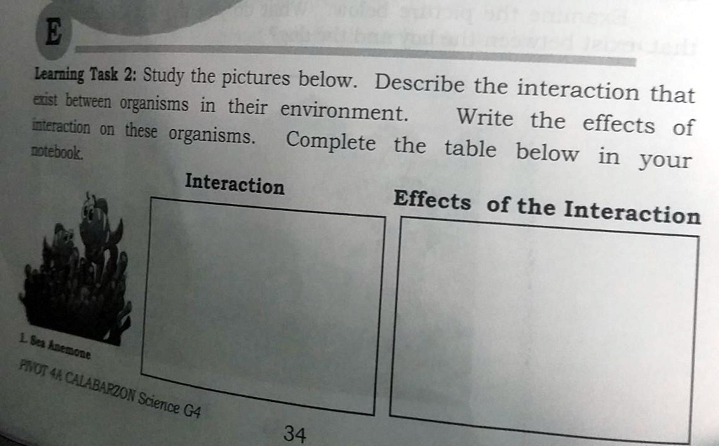 Learning Task 2: Study the pictures below. Describe the interaction that exist between organisms in their environment. Write the effects of interaction on these organisms. Complete the table below in your notebook.

Interaction
Effects of the Interaction
1. Sea Anemone