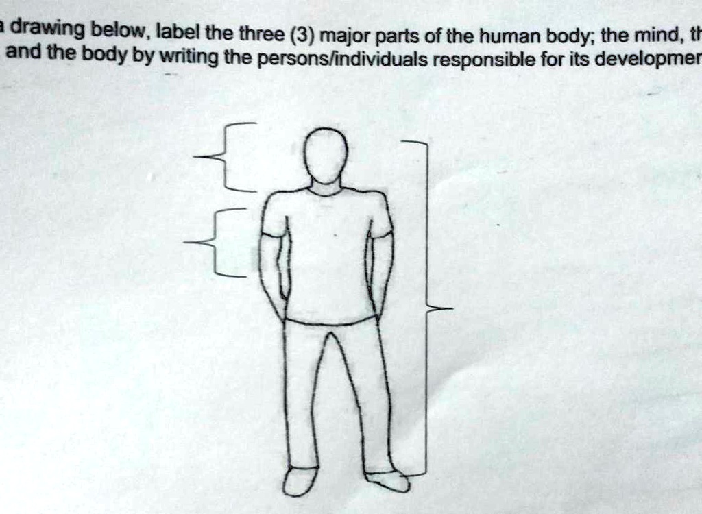 solved-2-in-the-drawing-below-label-the-three-3-major-parts-of-the