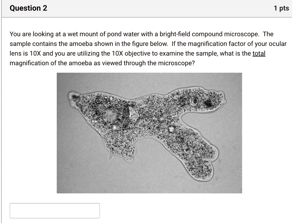 Question 2 1 pts You are looking at a wet mount of pond water with a ...