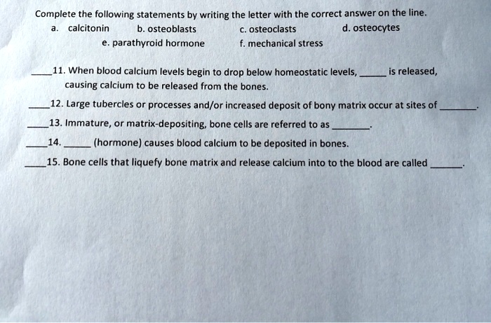 Complete the following statements by writing the letter with the correct answer on the line.
a. calcitonin
b. osteoblasts
c. osteoclasts
d. osteocytes
e. parathyroid hormone
f. mechanical stress

11. When blood calcium levels begin to drop below homeostatic levels,  is released,
causing calcium to be released from the bones.
12. Large tubercles or processes and/or increased deposit of bony matrix occur at sites of .
13. Immature, or matrix-depositing, bone cells are referred to as .
14.  (hormone) causes blood calcium to be deposited in bones.
15. Bone cells that liquefy bone matrix and release calcium into to the blood are called .