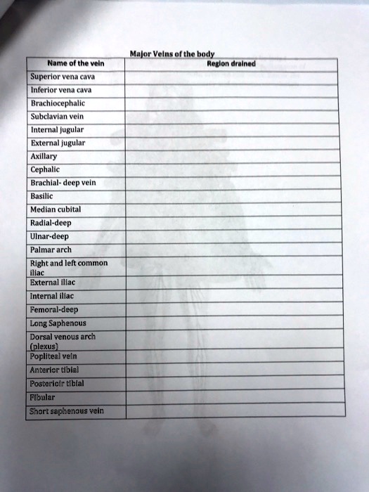 SOLVED Major Veins of the Body Region Drained Name of the Vein