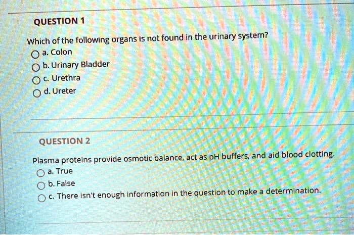 QUESTION 1
Which of the following organs is not found in the urinary system?
a. Colon
b. Urinary Bladder
c. Urethra
d. Ureter

QUESTION 2
Plasma proteins provide osmotic balance, act as pH buffers, and aid blood clotting.
a. True
b. False
c. There isn't enough information in the question to make a determination.