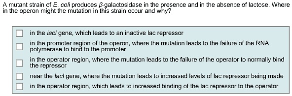A mutant strain of E. coli produces ?-galactosidase in the presence and in the absence of lactose. Where in the operon might the mutation in this strain occur and why?

in the lacI gene, which leads to an inactive lac repressor
in the promoter region of the operon, where the mutation leads to the failure of the RNA polymerase to bind to the promoter
in the operator region, where the mutation leads to the failure of the operator to normally bind the repressor
near the lacI gene, where the mutation leads to increased levels of lac repressor being made
in the operator region, which leads to increased binding of the lac repressor to the operator