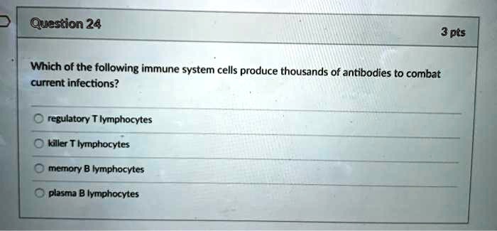 Which of the following immune system cells produce thousands of antibodies to combat current infections?

regulatory T lymphocytes
killer T lymphocytes
memory B lymphocytes
plasma B lymphocytes