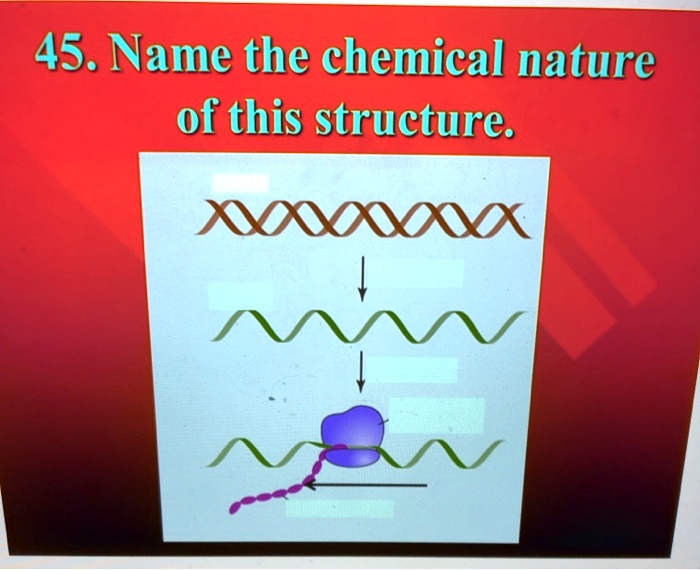 solved-45-name-the-chemical-nature-of-this-structure