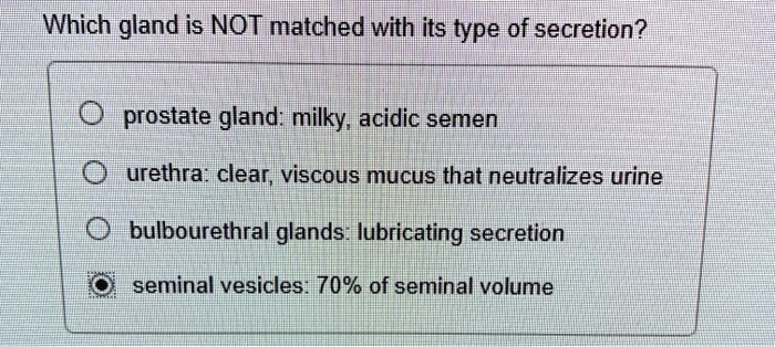 solved-which-gland-is-not-matched-with-its-type-of-secretion-prostate