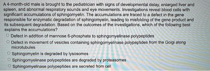 A 4-month-old male is brought to the pediatrician with signs of developmental delay, enlarged liver and
spleen, and abnormal respiratory sounds and eye movements. Investigations reveal blood cells with
significant accumulations of sphingomyelin. The accumulations are traced to a defect in the gene
responsible for enzymatic degradation of sphingomyelin, leading to misfolding of the gene product and
its subsequent degradation. Based on the outcomes of the investigations, which of the following best
explains the accumulations?
Defect in addition of mannose 6-phosphate to sphingomyelinase polypeptides
Defect in movement of vesicles containing sphingomyelinase polypeptides from the Golgi along
microtubules
Sphingomyelin is degraded by lysosomes
Sphingomyelinase polypeptides are degraded by proteasomes
Sphingomyelinase polypeptides are secreted from cell