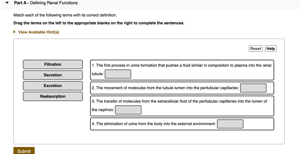 Part A - Defining Renal Functions
Match each of the following terms with its correct definition.
Drag the terms on the left to the appropriate blanks on the right to complete the sentences.
Filtration
Secretion
Excretion
Reabsorption
1. The first process in urine formation that pushes a fluid similar in composition to plasma into the renal tubule:
2. The movement of molecules from the tubule lumen into the peritubular capillaries:
3. The transfer of molecules from the extracellular fluid of the peritubular capillaries into the lumen of the nephron:
4. The elimination of urine from the body into the external environment: