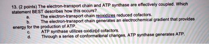 SOLVED: The electron-transport chain and ATP synthase are effectively ...