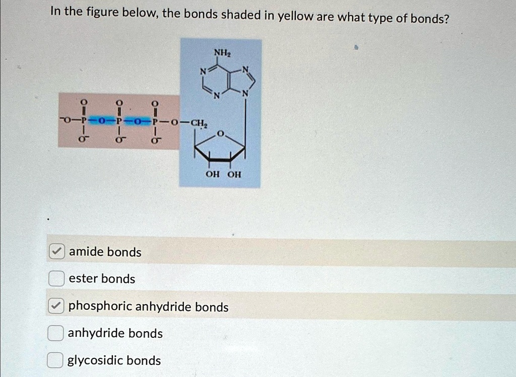 SOLVED: In the figure below, the bonds shaded in yellow are what type ...