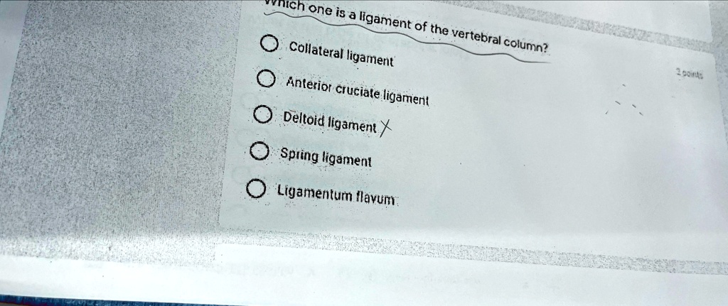 SOLVED: Collateral ligament Anterior cruciate ligament Deltoid ligament ...