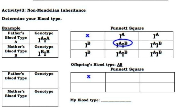 SOLVED: "Activity#3: Non-Mendelian Inheritance Determine Your Blood ...