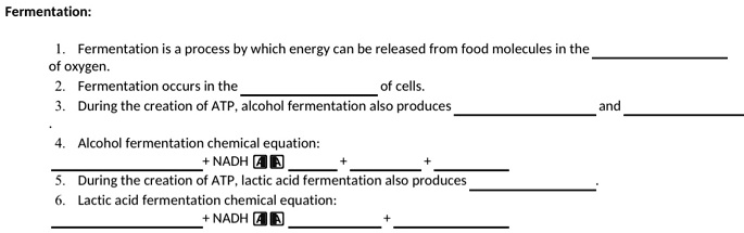 lactic acid fermentation equation