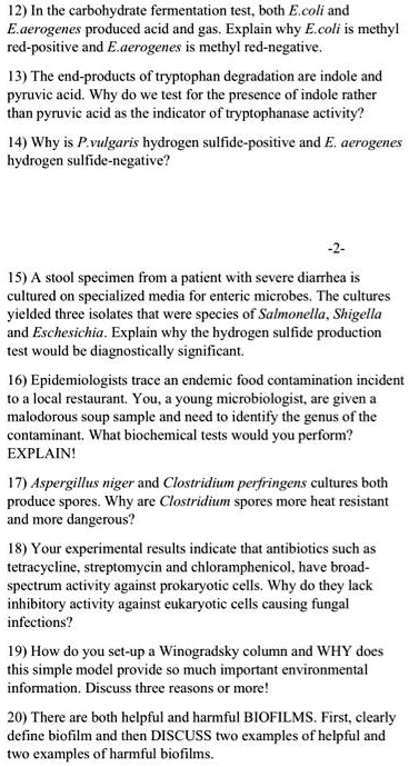 solved-12-in-the-carbohydrate-fermentation-test-both-ecoli-and