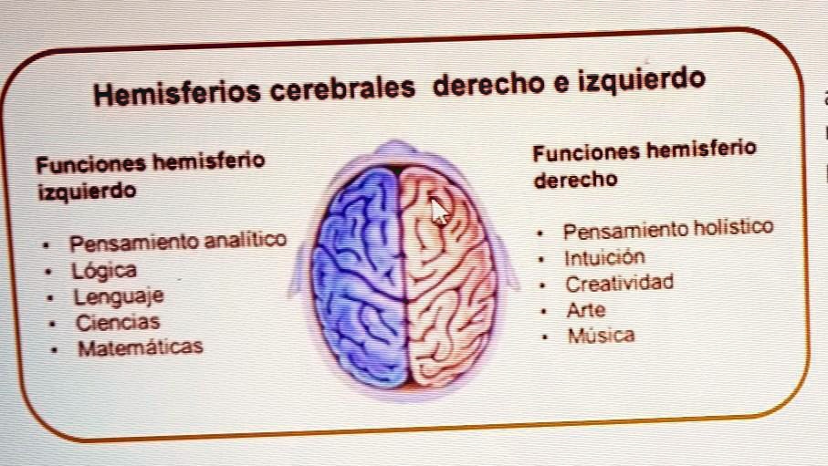 SOLVED: a.) cuál de los dos hemisferios es el más racional ? ¿por qué
