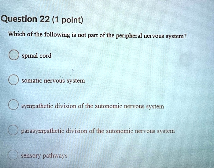 Which of the following is not part of the peripheral nervous system?

spinal cord
somatic nervous system
sympathetic division of the autonomic nervous system
parasympathetic division of the autonomic nervous system
sensory pathways