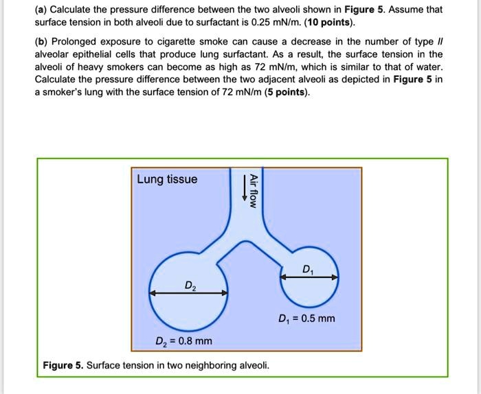 SOLVED a Calculate the pressure difference between the two alveoli