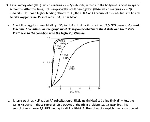 3. Fetal hemoglobin (HbF), which contains 2? + 2? subunits,...