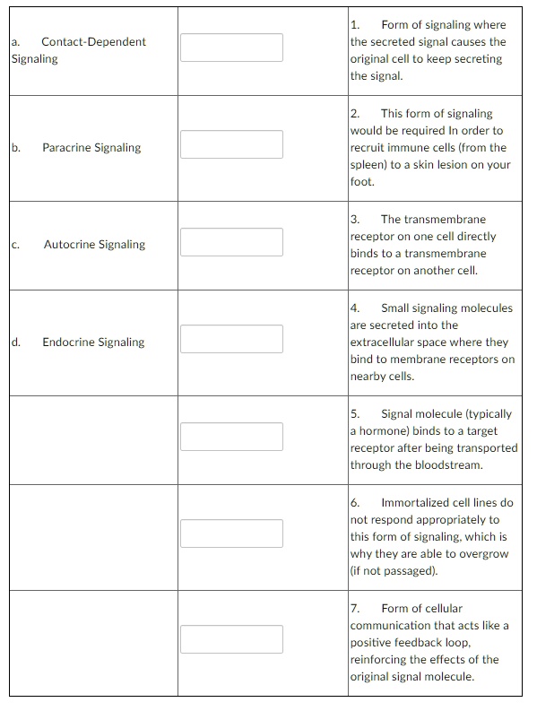 a. Contact-Dependent Signaling
1. Form of signaling where the secreted signal causes the original cell to keep secreting the signal.
b. Paracrine Signaling
2. This form of signaling would be required in order to recruit immune cells (from the spleen) to a skin lesion on your foot.
c. Autocrine Signaling
3. The transmembrane receptor on one cell directly binds to a transmembrane receptor on another cell.
d. Endocrine Signaling
4. Small signaling molecules are secreted into the extracellular space where they bind to membrane receptors on nearby cells.
5. Signal molecule (typically a hormone) binds to a target receptor after being transported through the bloodstream.
6. Immortalized cell lines do not respond appropriately to this form of signaling, which is why they are able to overgrow (if not passaged).
7. Form of cellular communication that acts like a positive feedback loop, reinforcing the effects of the original signal molecule.