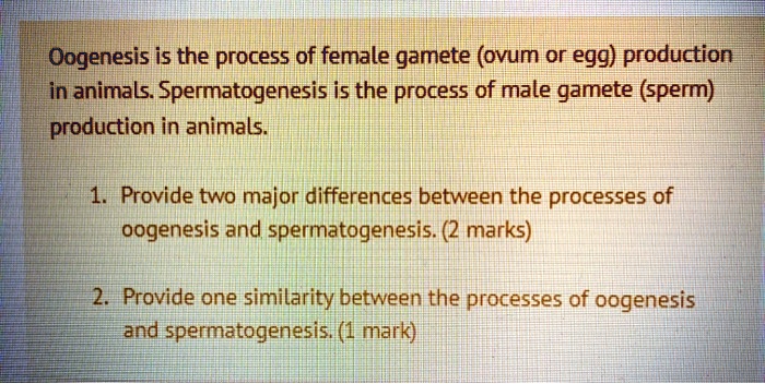 SOLVED: Oogenesis is the process of female gamete (ovum or egg) production  in animals Spermatogenesis is the process of male gamete (sperm) production  in animals Provide two major differences between the processes